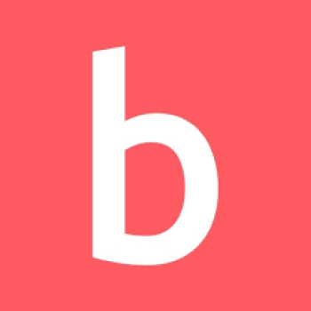 BITWIP CONSEIL logo