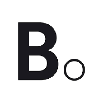 Bumpair  logo